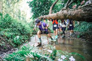 BIB: 
                            <button type="button" onclick="openModal(25478673)" class="btn btn-primary btn-sm float-right btn-popup" data-toggle="modal" data-target=".modal-high-quality">
                        <i class="fas fa-shopping-cart"></i> Add to Cart
                    </button>
                                            <button type="button" onclick="isThisMe(25478673, true)" class="btn btn-success btn-sm float-right btn-popup btn-isme hidden" data-toggle="tooltip" data-placement="bottom" title="นี่คือรูปของคุณใช่ไหม คลิกที่นี่เพื่อเอาเข้าอัลบั้ม">
                        <i class="fas fa-plus"></i> Add to album
                    </button>
                    <button type="button" onclick="isThisMe(25478673, false)" class="btn btn-warning btn-sm float-right btn-popup btn-isnotme hidden">
                        <i class="fas fa-ban"></i> Remove from album
                    </button>